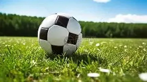 欧亿体育 产品 082724 f1o