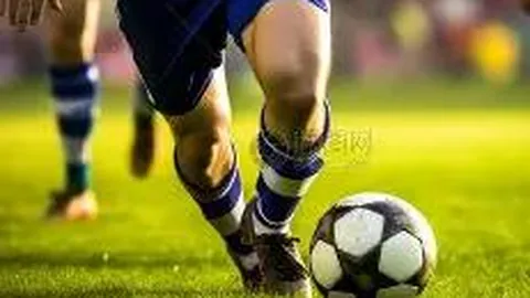 张之臻、多迪格鹿特丹网球赛男双首轮不敌对手遭淘汰