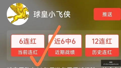 昨智利甲胜 智利甲6胜4 这场保级战暗藏玄机